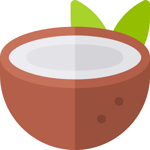 Coconut fruit vegan coconuts icon