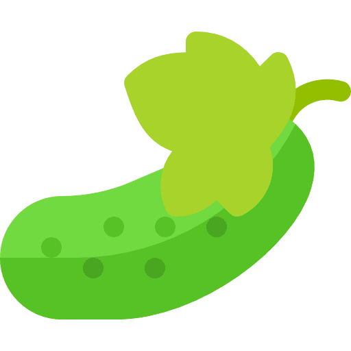 Cucumber fruit food vegetarian icon