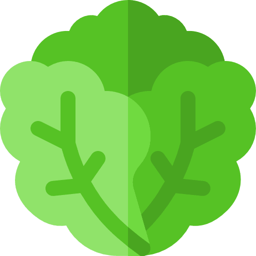 Lettuce organic vegetable diet icon
