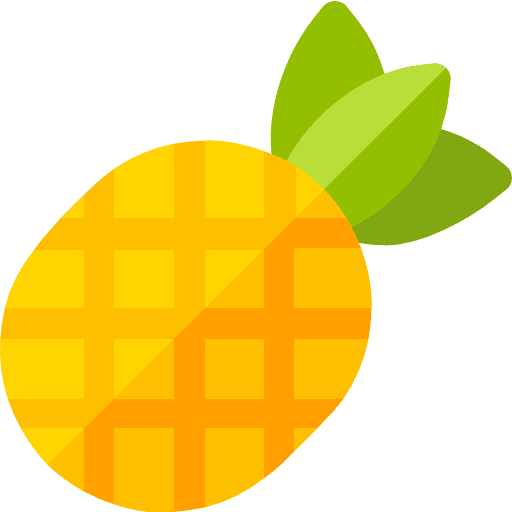 Pineapple vegetarian vegan healthy food icon