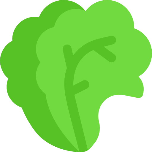 Salad vegetable vegetables greens icon