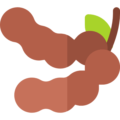 Tamarind vegetarian diet organic icon