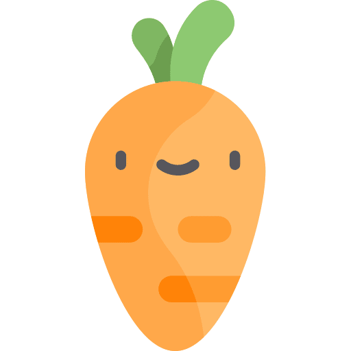 Carrot carrot face vegetarian icon