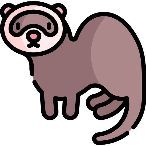 Ferret animal kingdom ferret animal icon