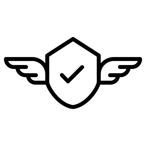 Shield protection wings insurance icon