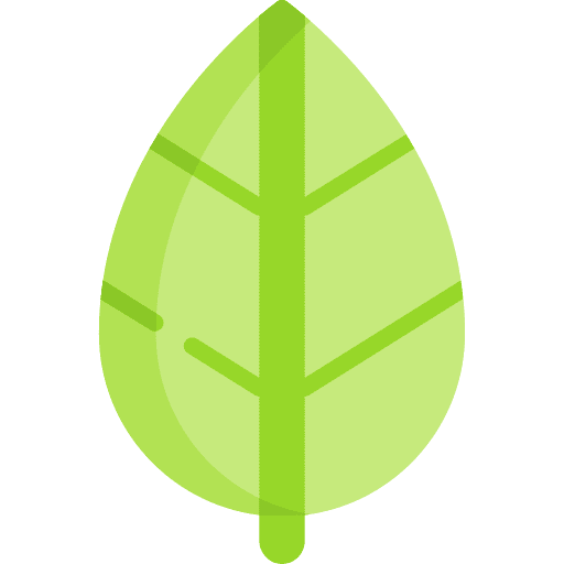 Leaf botanical nature garden icon