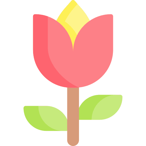Tulip tulip petals botanical icon
