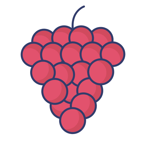 Grape healthy food organic bouquet icon