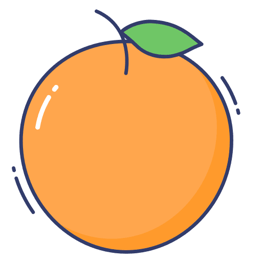 Orange orange vegan healthy food icon
