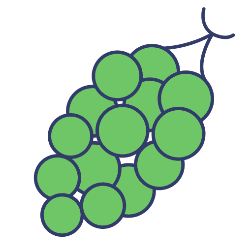 Grapes fruit vegan grapes icon