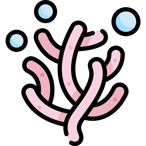 Coral coral algae plant icon