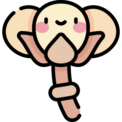 Cotton nature agriculture cotton icon