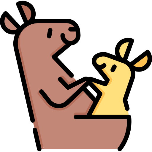 Kangaroo mammal zoo animals icon