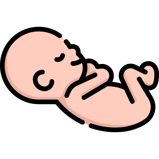 Newborn kid and baby newborn infant icon