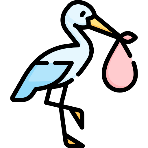 Stork stork birth newborn icon