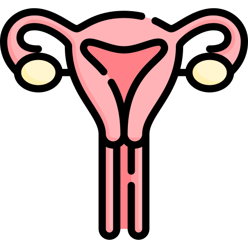 Womb female organs womb healthcare and medical icon