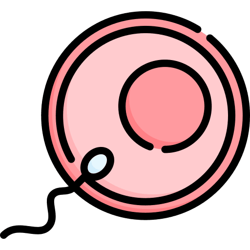 Fertilization fertilization sperm reproduction icon