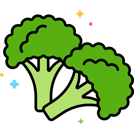 Broccoli healthy food vegan vegetable icon