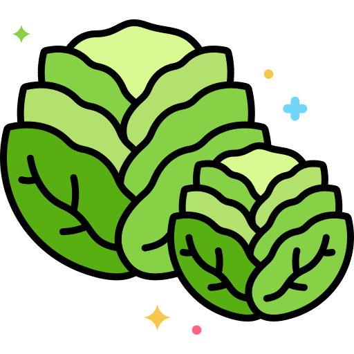 Brussels vegetarian food and restaurant brussel sprouts icon