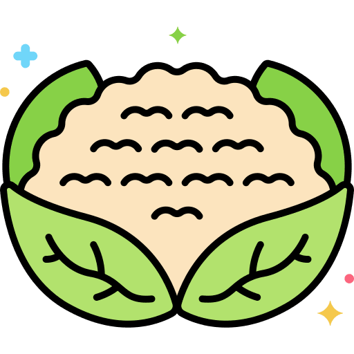 Cauliflower vegetarian vegetable diet icon
