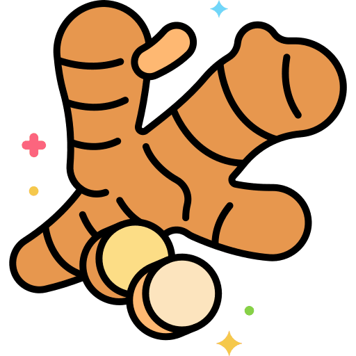 Ginger food food and restaurant ginger icon