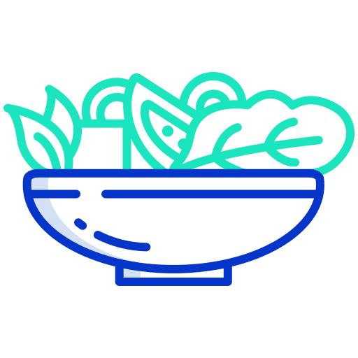 Salad vegetarian salad vegetables icon