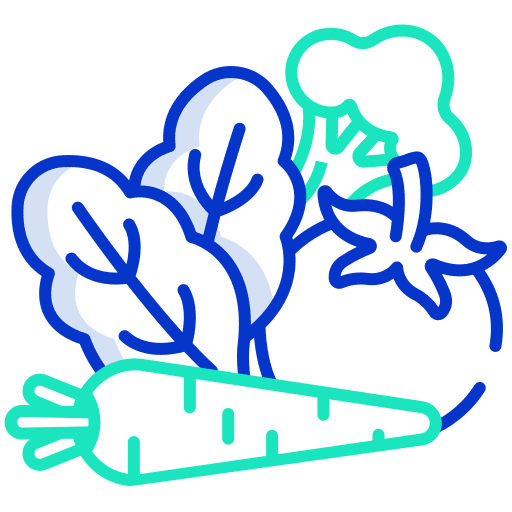 Vegetable vegetable vegetarian salad icon