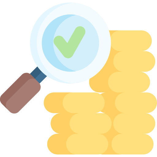 Money audit report magnifying glass icon