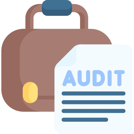 Portfolio profile applicant audit icon