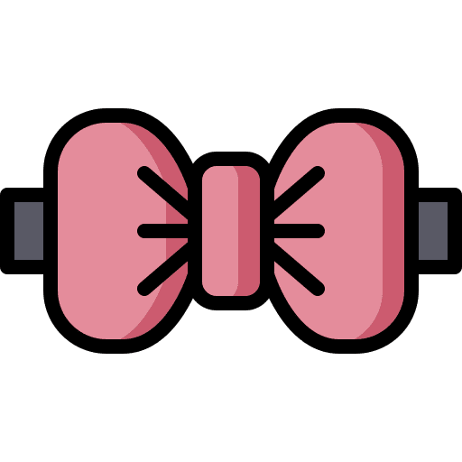 Bow tie bow tie ornament elegant icon