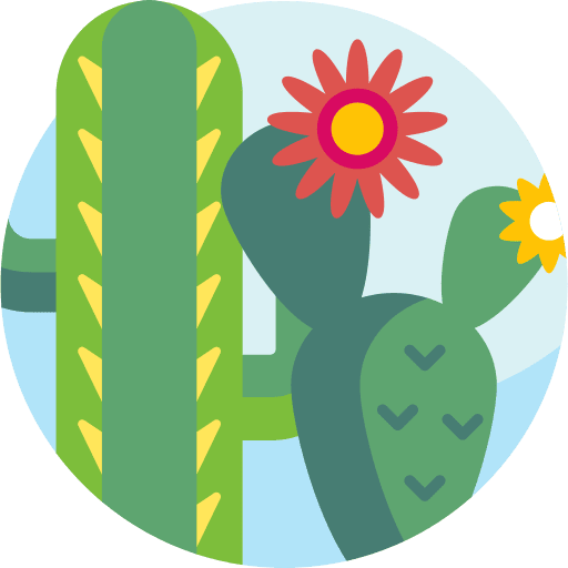 Cactus nature cactus plant icon