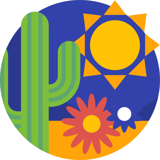 Cactus sun nature flower icon