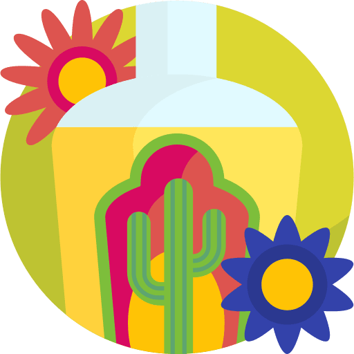 Tequila mexican drink bottle icon