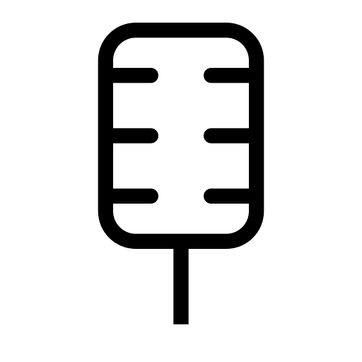 Vocalist voice recorder christmas radio icon