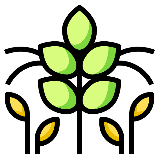 Agronomy plant sprout wheat icon