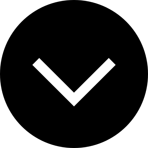 Down chevron segmented circle arrow button arrows icon