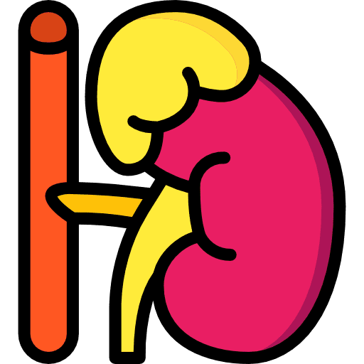 Adrenal gland body organ medical healthcare icon