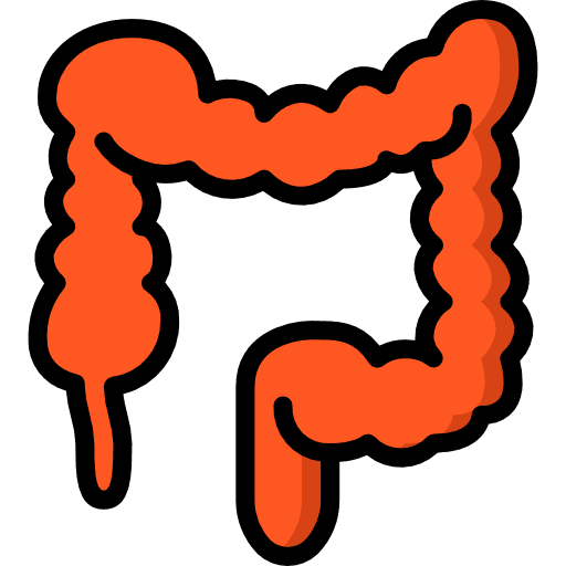 Colon appendix colon healthcare and medical icon