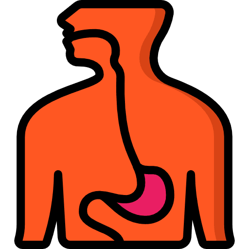 Esophagus body organ esophagus digestive icon