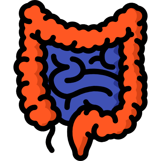 Intestines body parts appendix organ icon