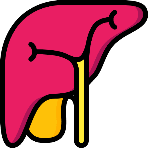 Liver organ medical healthcare and medical icon