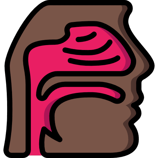 Nasal smell face noses icon