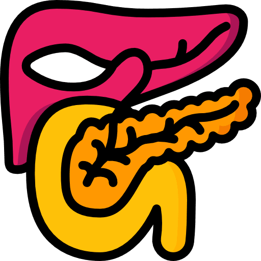 Pancreas body part organ anatomy icon