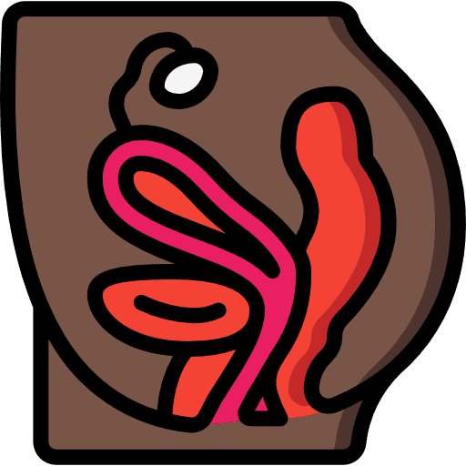 Pelvic area gynecology uterus anatomy icon