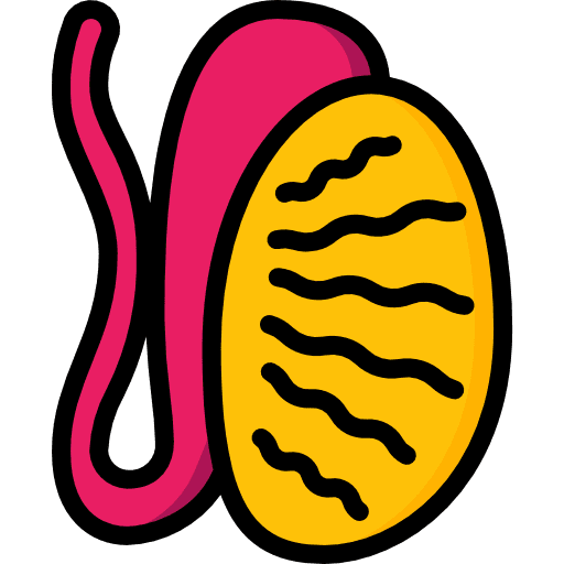 Testis healthcare and medical reproduction masculine icon