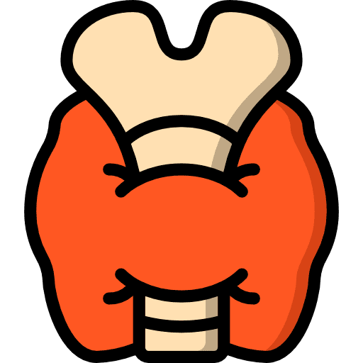 Thyroid gland thyroid gland body organ healthcare and medical icon