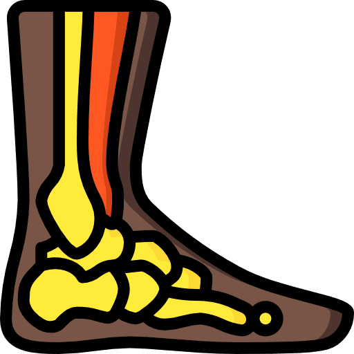 Ankle body body parts ankle icon