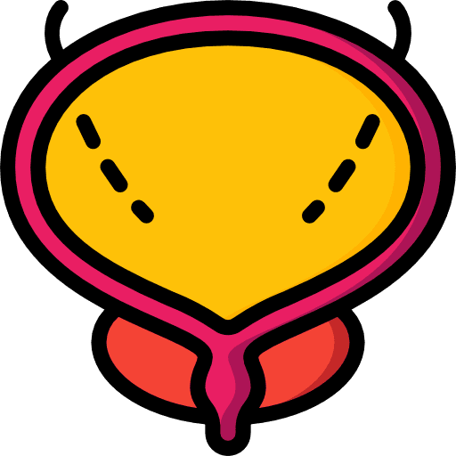 Bladder healthcare and medical urethra body part icon