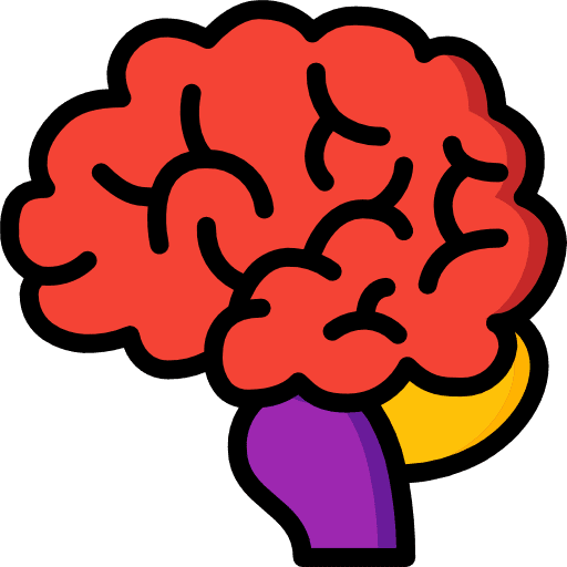 Brain anterior part education brain icon