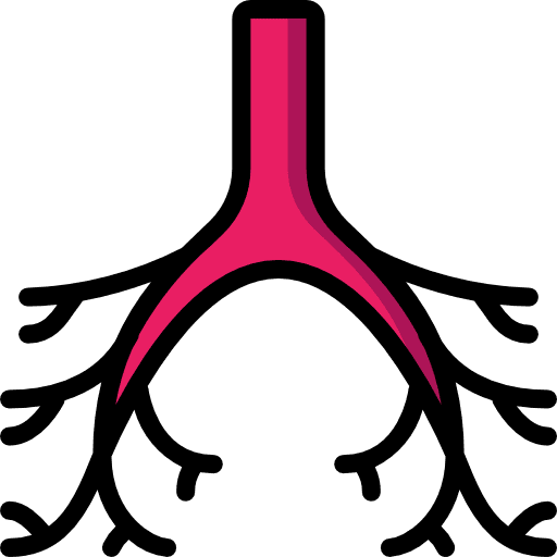 Bronchi bronchi healthcare and medical healthcare icon